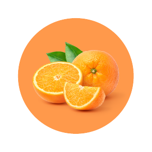 Product image media